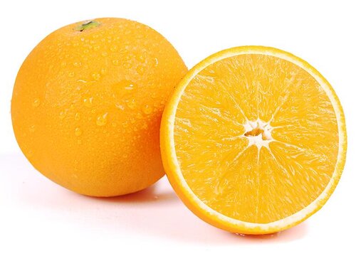 宠物狗狗可以吃橙子吗