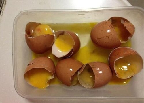 臭鸡蛋浇花有什么好处和坏处 怎样发酵成有机肥
