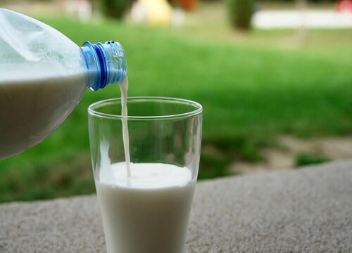 过期牛奶能直接浇花吗 过期纯牛奶浇花正确方法