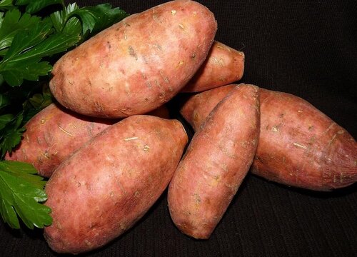 红薯一般几月份收获