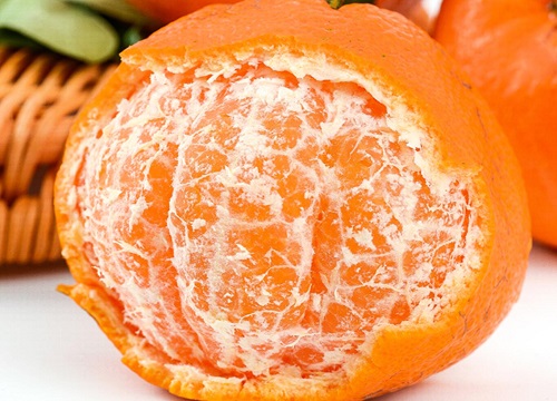 狗可以吃小橘子吗