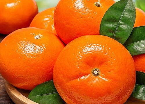 橘子能放冰箱吗