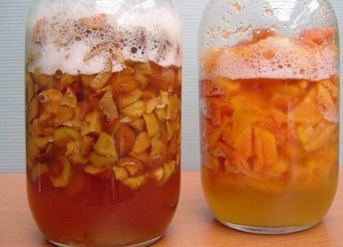 冬天如何用橘子皮水养护茶花
