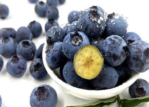 北方蓝莓品种排名 北方哪个品种最好