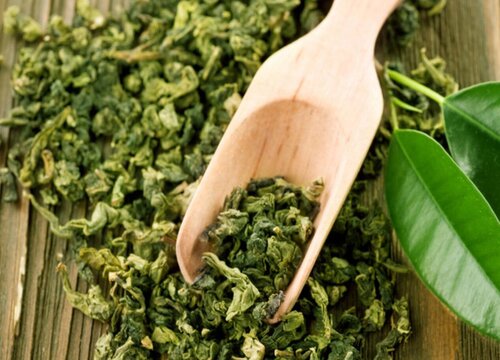 绿茶的品种有哪些