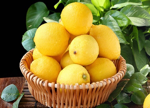 黄柠檬什么季节成熟