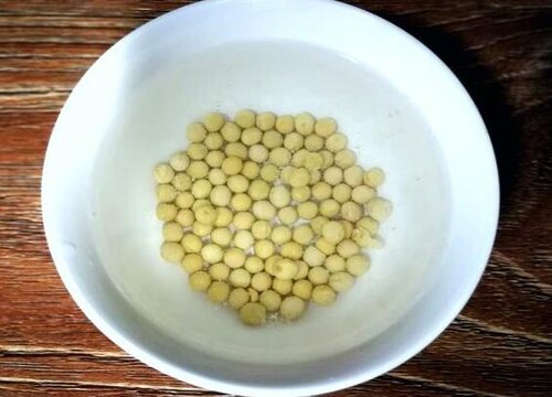 黄豆怎么养护月季  具体方法