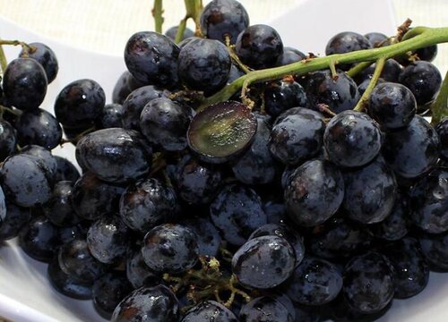 烂葡萄可以做肥料吗 坏了的葡萄做花肥方法