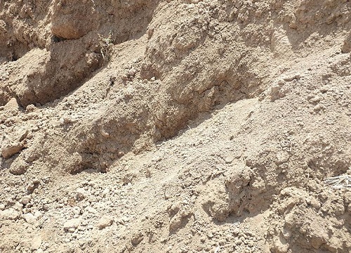 沙土是什么土