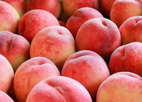 桃子核能种吗 刚吃完的桃子核能种出桃树吗