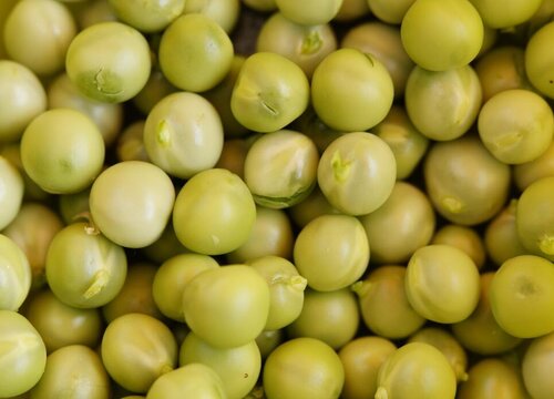 豌豆一年四季都有吗 在几月份上市的蔬菜