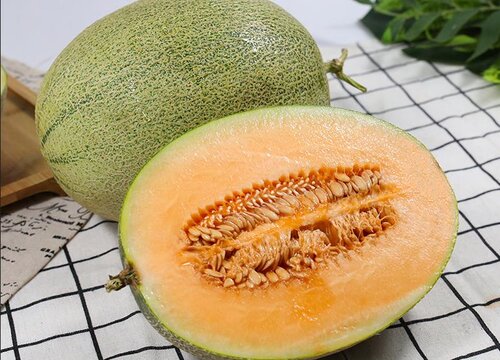 新疆哈密瓜哪个品种最好吃 新疆哪里产的哈密瓜最出名