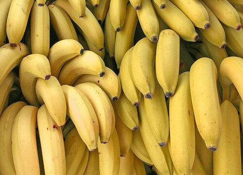 如何挑选香蕉才好吃 如何挑选质量合格的香蕉