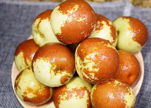 枣子什么季节成熟采摘 在几月份收获上市