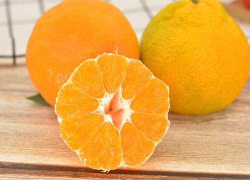 橘子的种类名称和图片（各种品种橘子是什么样子）