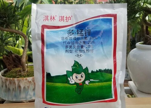 代森锰锌多菌灵养护茶花越长越多