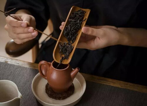 奇兰茶属于什么茶类  奇兰是什么品种的茶