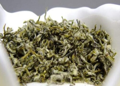 碧螺春属于什么茶（红茶还是绿茶） 怎么辨别好坏