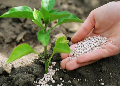 什么是微生物肥料（微生物肥料使用作用及施用需注意问题）