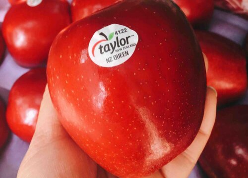 斯尼克苹果和红富士哪个好吃 斯尼克和红富士苹果区别