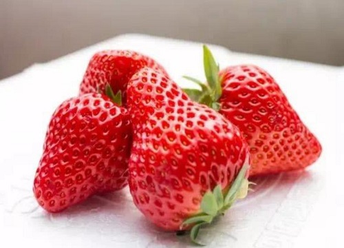 红颜草莓品种简介 红颜草莓是哪里产的，产量多少