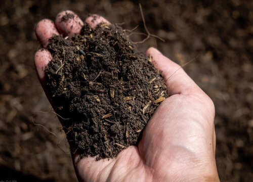 8种给土壤消毒方法 土壤消毒杀菌简单有效方法